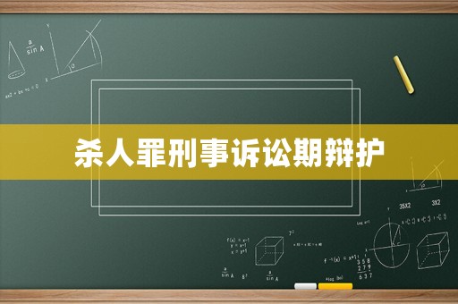 殺人罪刑事訴訟期辯護(hù)