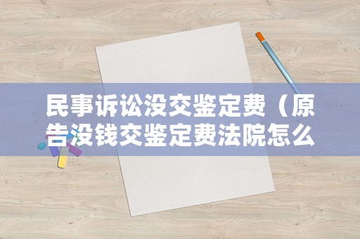 民事訴訟沒交鑒定費(fèi)（原告沒錢交鑒定費(fèi)法院怎么辦）