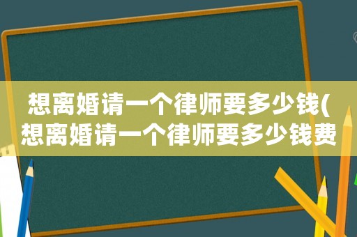 想離婚請一個律師要多少錢(想離婚請一個律師要多少錢費用)