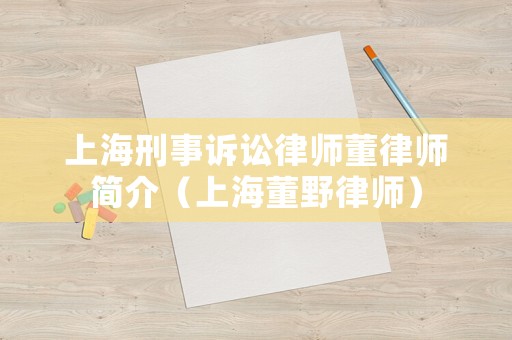 上海刑事訴訟律師董律師簡介（上海董野律師）