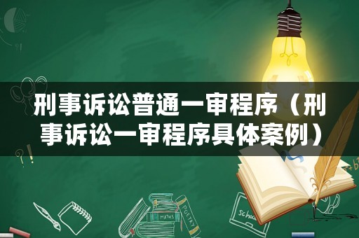 刑事訴訟普通一審程序（刑事訴訟一審程序具體案例）