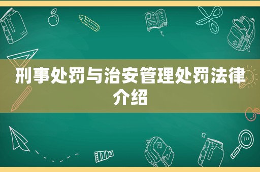刑事處罰與治安管理處罰法律介紹