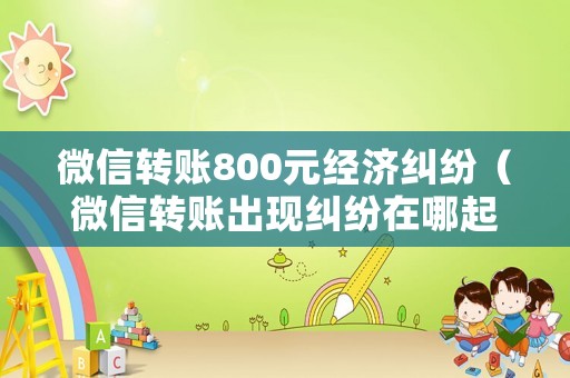 微信轉賬800元經濟糾紛（微信轉賬出現糾紛在哪起訴）
