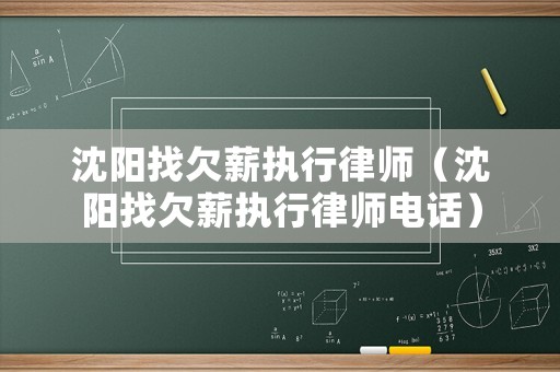 沈陽找欠薪執行律師（沈陽找欠薪執行律師電話）