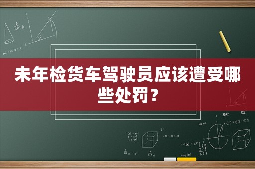未年檢貨車駕駛員應該遭受哪些處罰？