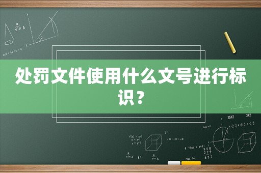 處罰文件使用什么文號進(jìn)行標(biāo)識？