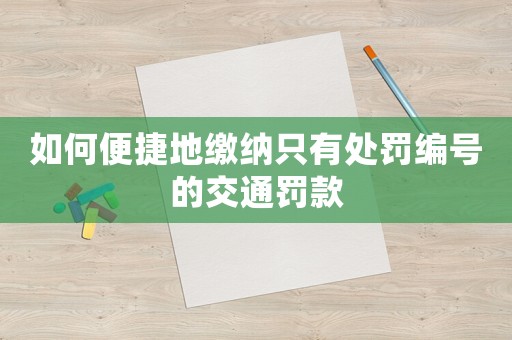 如何便捷地繳納只有處罰編號的交通罰款