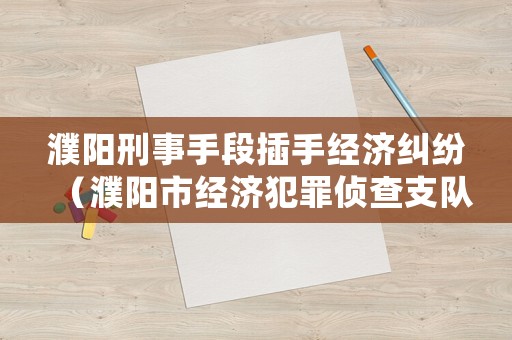 濮陽刑事手段插手經濟糾紛（濮陽市經濟犯罪偵查支隊）