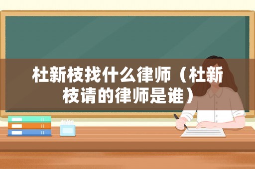 杜新枝找什么律師（杜新枝請的律師是誰）