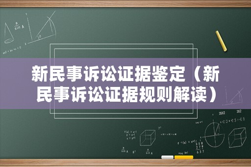 新民事訴訟證據(jù)鑒定（新民事訴訟證據(jù)規(guī)則解讀）