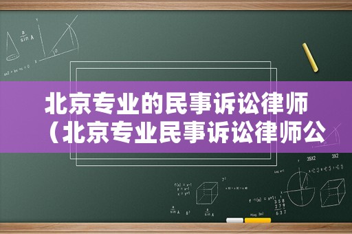 北京專業的民事訴訟律師（北京專業民事訴訟律師公司）