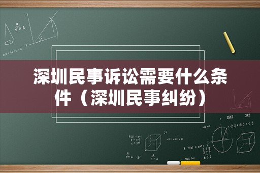 深圳民事訴訟需要什么條件（深圳民事糾紛）