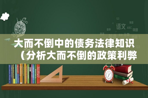 大而不倒中的債務(wù)法律知識（分析大而不倒的政策利弊）
