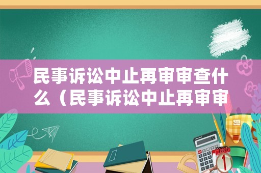 民事訴訟中止再審審查什么（民事訴訟中止再審審查什么意思）
