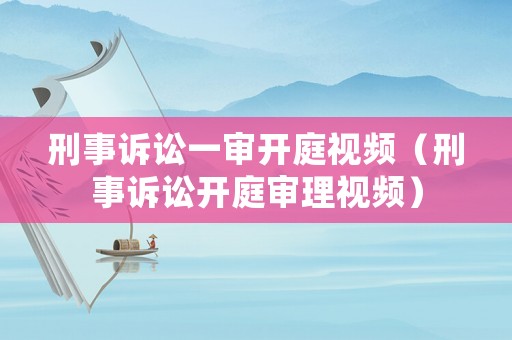 刑事訴訟一審開庭視頻（刑事訴訟開庭審理視頻）