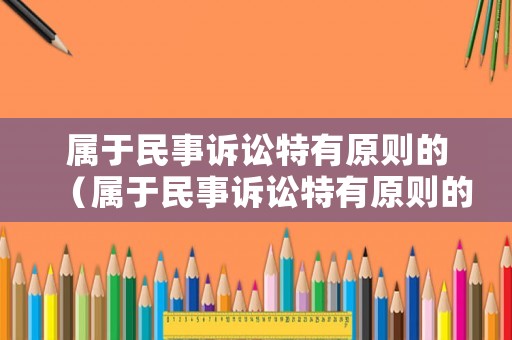屬于民事訴訟特有原則的（屬于民事訴訟特有原則的有哪些）