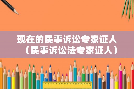 現在的民事訴訟專家證人（民事訴訟法專家證人）