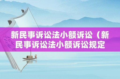 新民事訴訟法小額訴訟（新民事訴訟法小額訴訟規定）