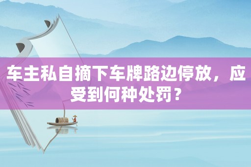 車主私自摘下車牌路邊停放，應受到何種處罰？
