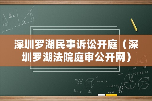 深圳羅湖民事訴訟開庭（深圳羅湖法院庭審公開網）