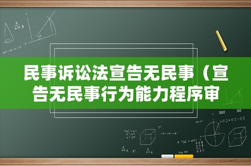 民事訴訟法宣告無民事（宣告無民事行為能力程序審理期限）