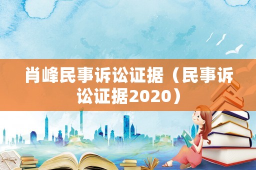 肖峰民事訴訟證據（民事訴訟證據2020）