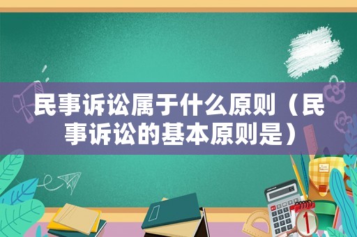 民事訴訟屬于什么原則（民事訴訟的基本原則是）