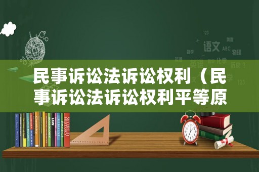 民事訴訟法訴訟權利（民事訴訟法訴訟權利平等原則）