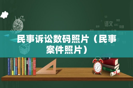 民事訴訟數碼照片（民事案件照片）
