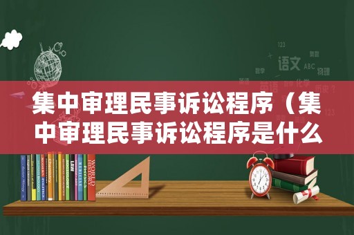 集中審理民事訴訟程序（集中審理民事訴訟程序是什么）