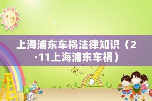 上海浦東車禍法律知識（2·11上海浦東車禍）
