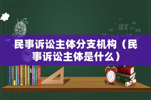 民事訴訟主體分支機構(gòu)（民事訴訟主體是什么）