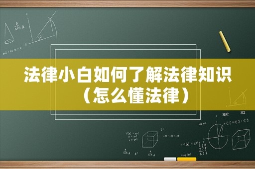 法律小白如何了解法律知識(shí)（怎么懂法律）