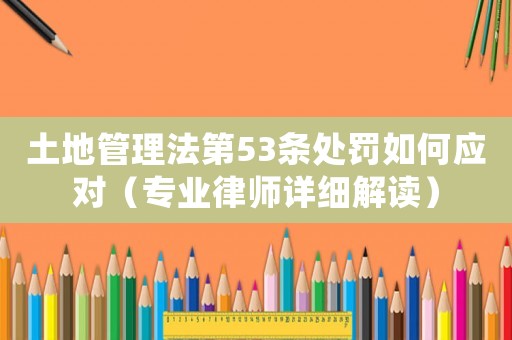 土地管理法第53條處罰如何應對（專業律師詳細解讀）