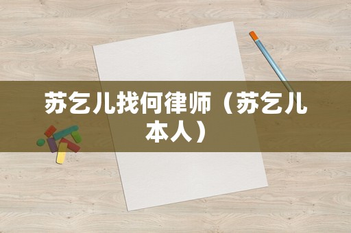 蘇乞兒找何律師（蘇乞兒本人）