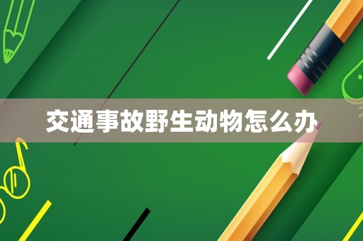 交通事故野生動(dòng)物怎么辦
