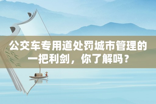 公交車專用道處罰城市管理的一把利劍，你了解嗎？