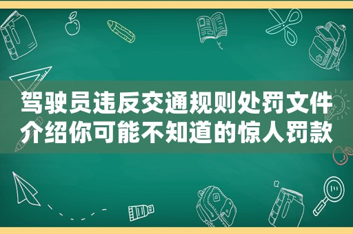 駕駛員違反交通規則處罰文件介紹你可能不知道的驚人罰款細節