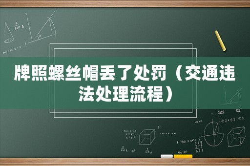 牌照螺絲帽丟了處罰（交通違法處理流程）