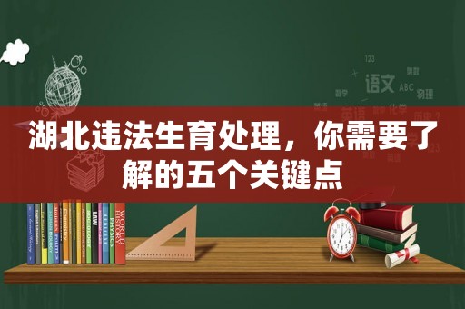 湖北違法生育處理，你需要了解的五個關(guān)鍵點