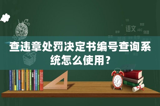 查違章處罰決定書編號查詢系統怎么使用？