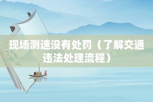 現場測速沒有處罰（了解交通違法處理流程）