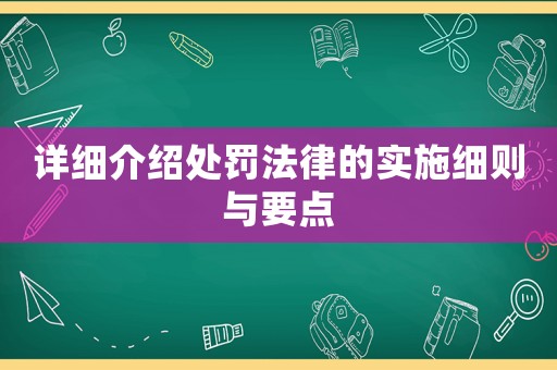 詳細介紹處罰法律的實施細則與要點