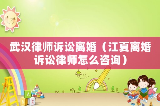 武漢律師訴訟離婚（江夏離婚訴訟律師怎么咨詢）
