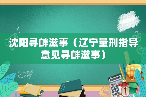 沈陽尋釁滋事（遼寧量刑指導意見尋釁滋事）